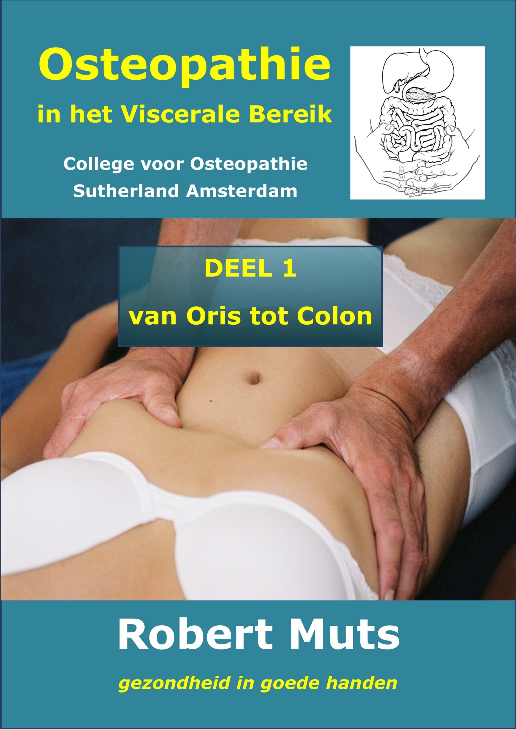 Cover van Osteopathie in het Viscerale Bereik, deel 1