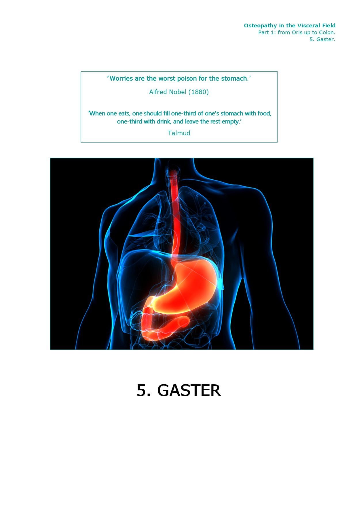 Voorpagina Deel I · 5.2 — Anatomie Gaster (maag)