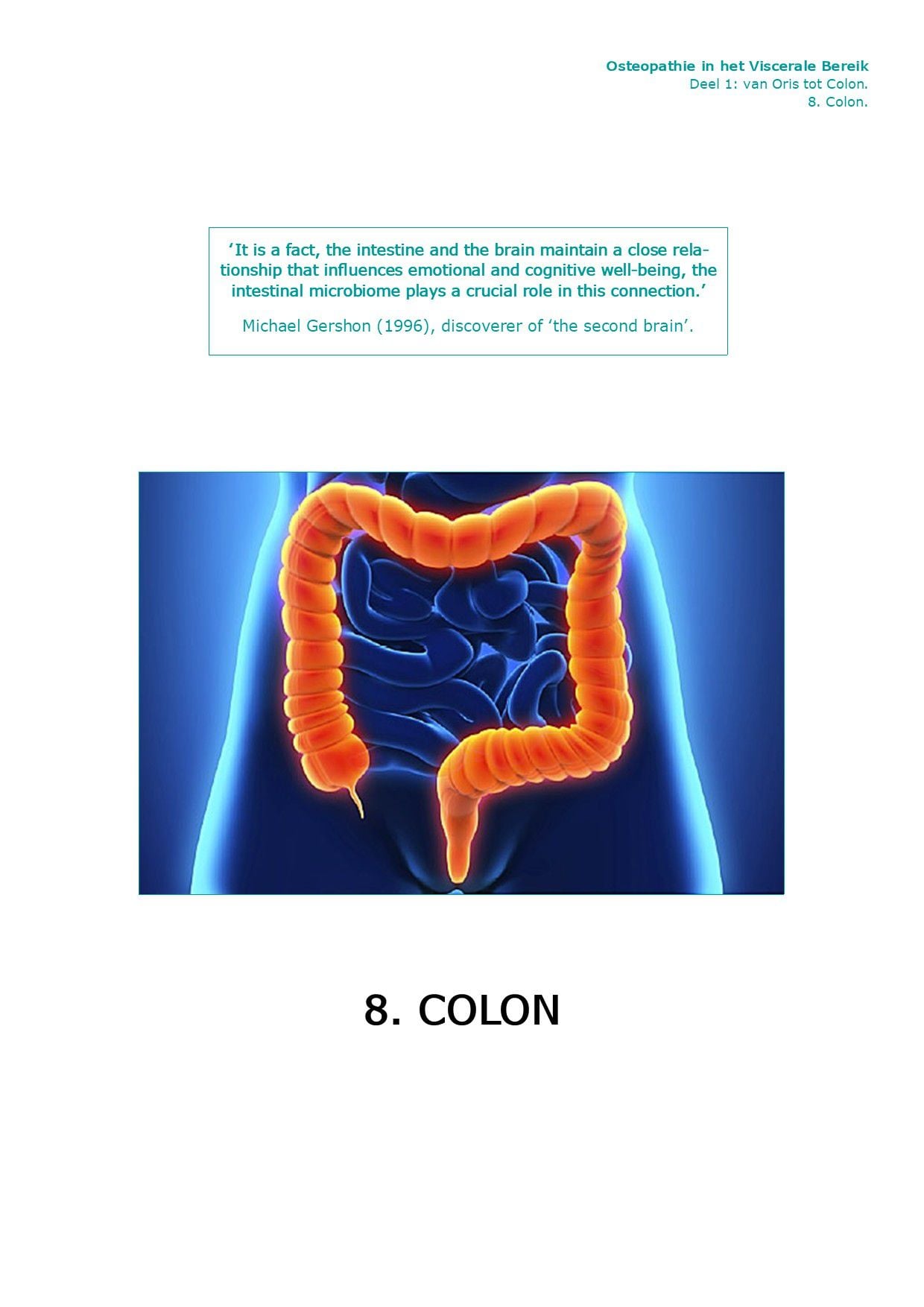 Voorpagina Deel I · 8.12 — Therapie Colon (dikke darm)