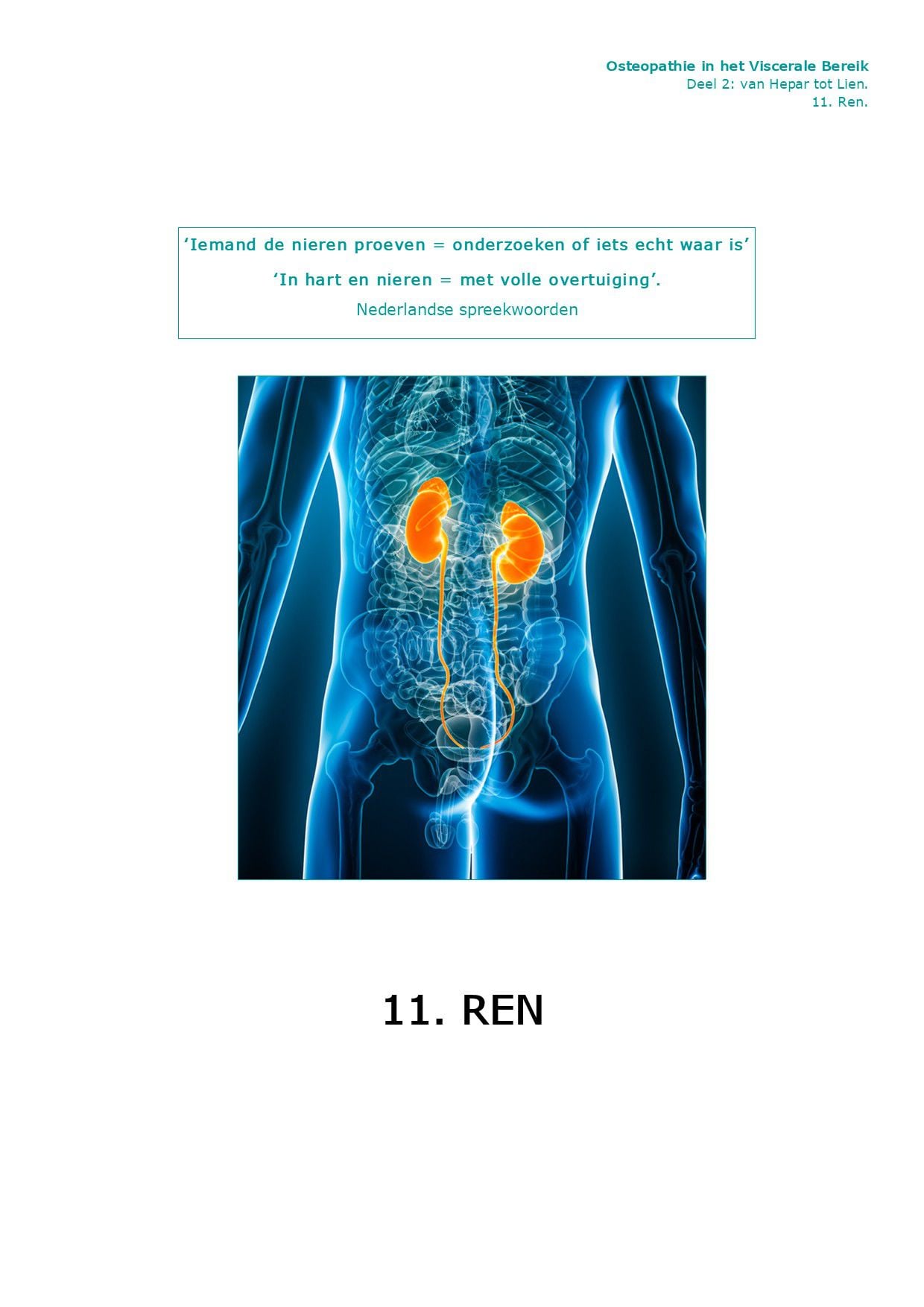 Voorpagina Deel II · 11.10 — Dysfunctie Ren (nier)