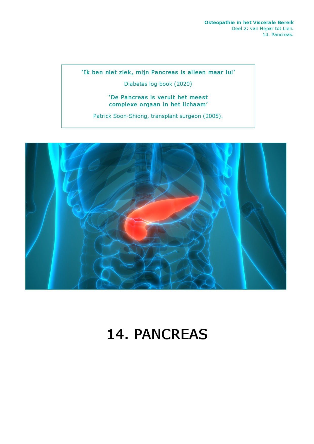 Voorpagina Deel II · 14.12 — Therapie Pancreas (alvleesklier)