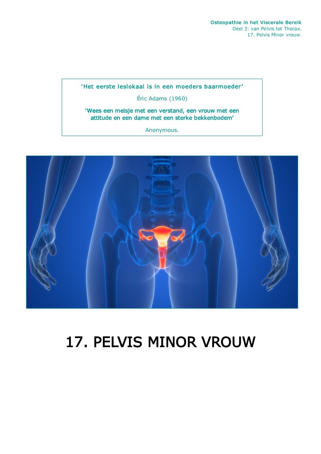 Voorpagina Deel III · 17.10 — Dysfunctie Pelvis minor (vrouw)
