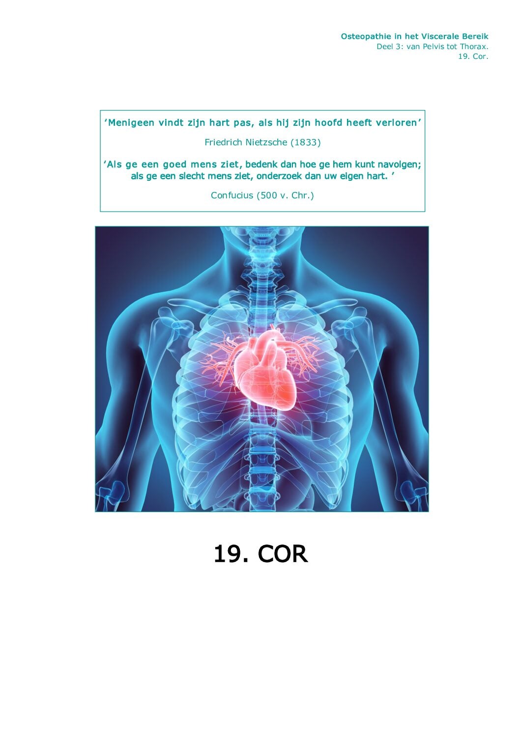 Voorpagina Deel III · 19.6 — Embryologie Cor (hart)