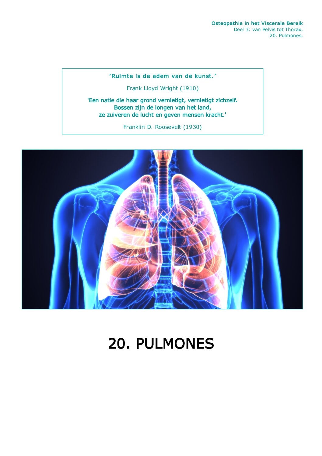 Voorpagina Deel III · 20.12 — Therapie Pulmones (longen)