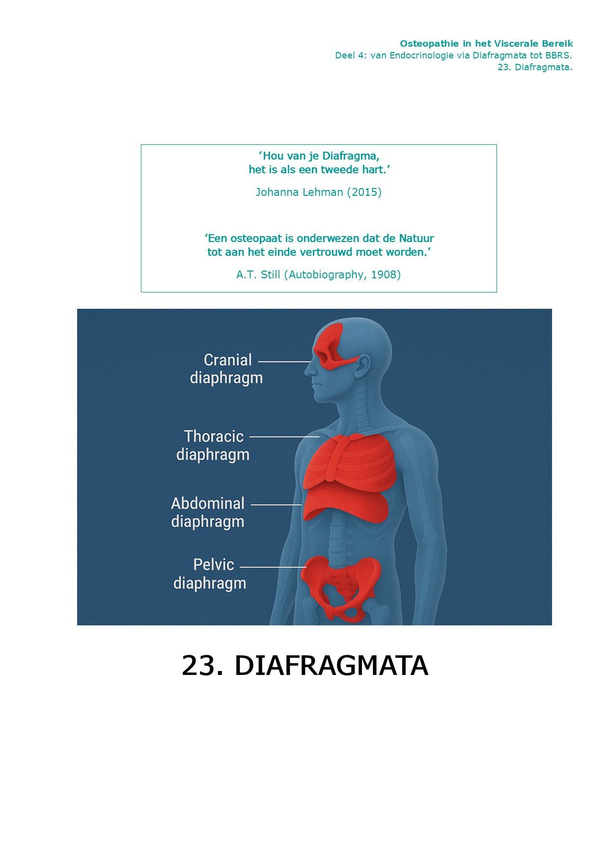 Voorpagina Deel IV · 23.3 — Diafragma Abdominalis