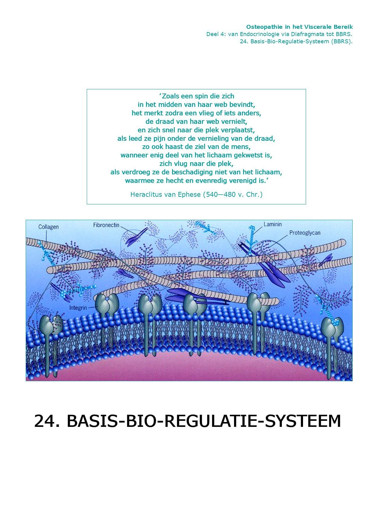 Voorpagina Deel IV · 24.5 — Componenten Basis-Bio-Regulatie-Systeem