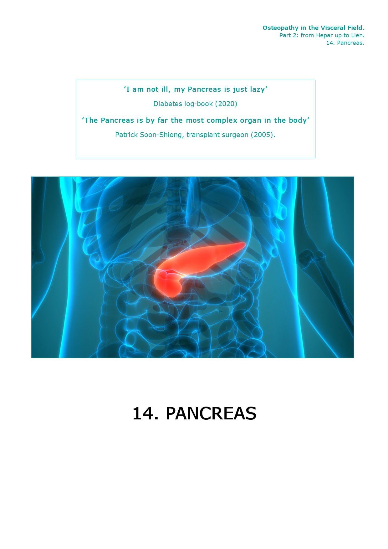 Front page Part II · 11.12 — Therapy Pancreas