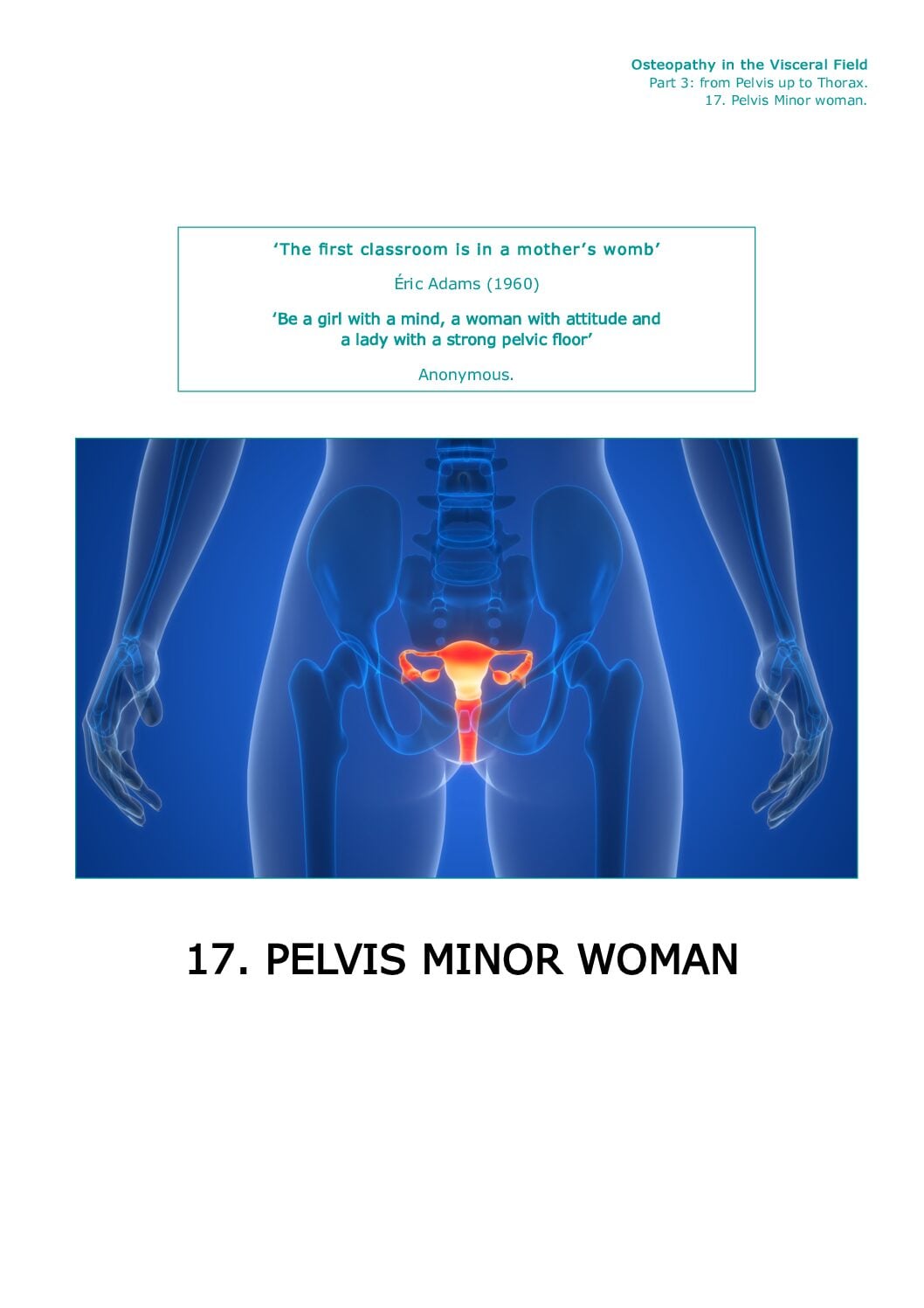 Front page Part III · 17.10 — Dysfunction Pelvis Woman