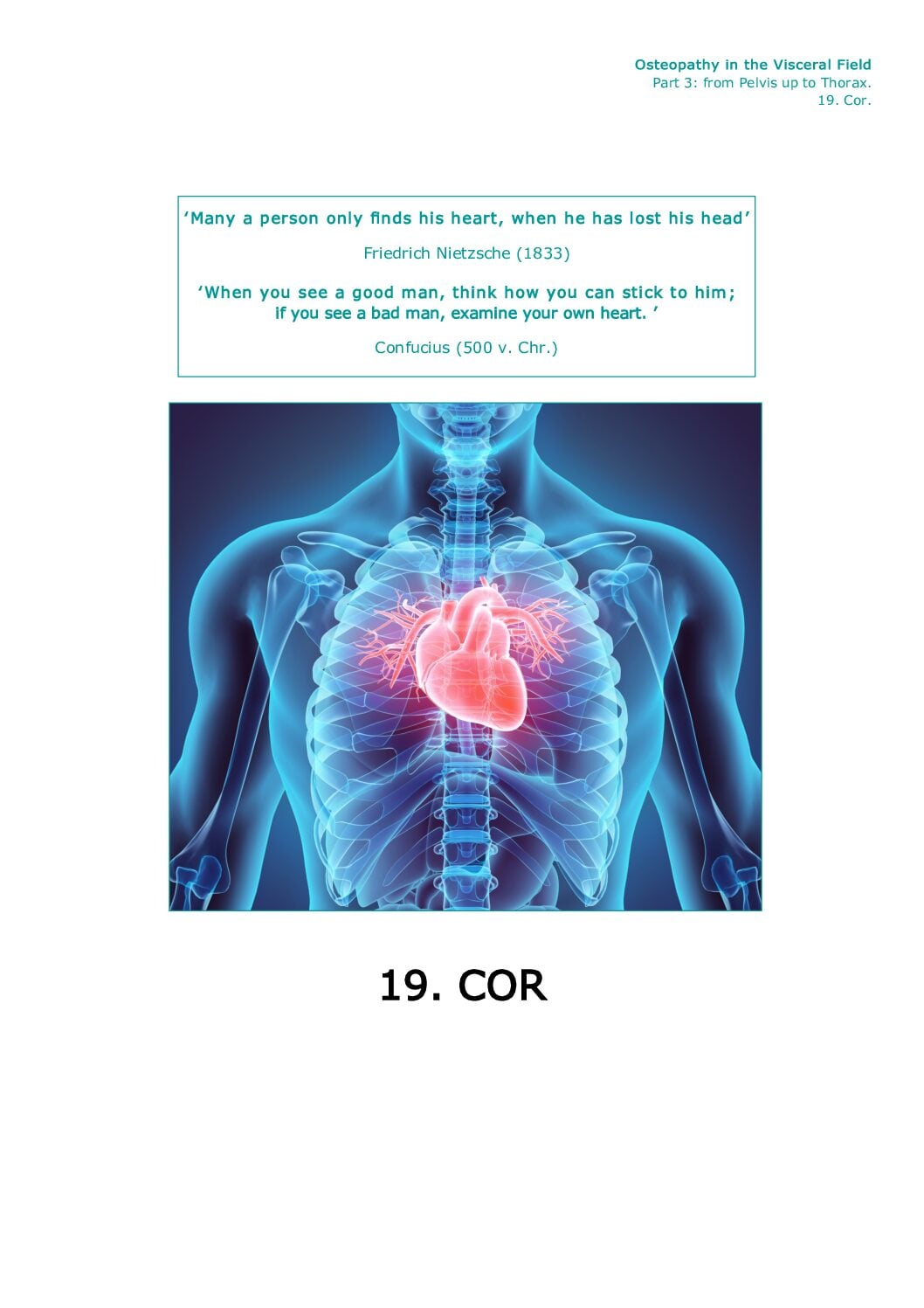Front page Part III · 19.6 — Embryology Cor (heart)