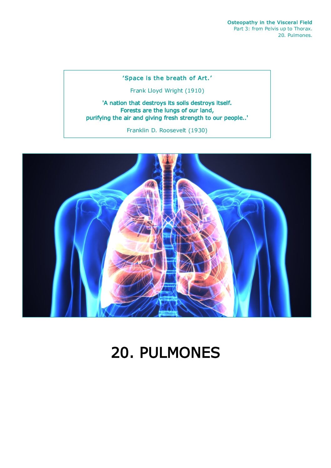 Front page Part III · 20.12 — Therapy Pulmones (lungs)