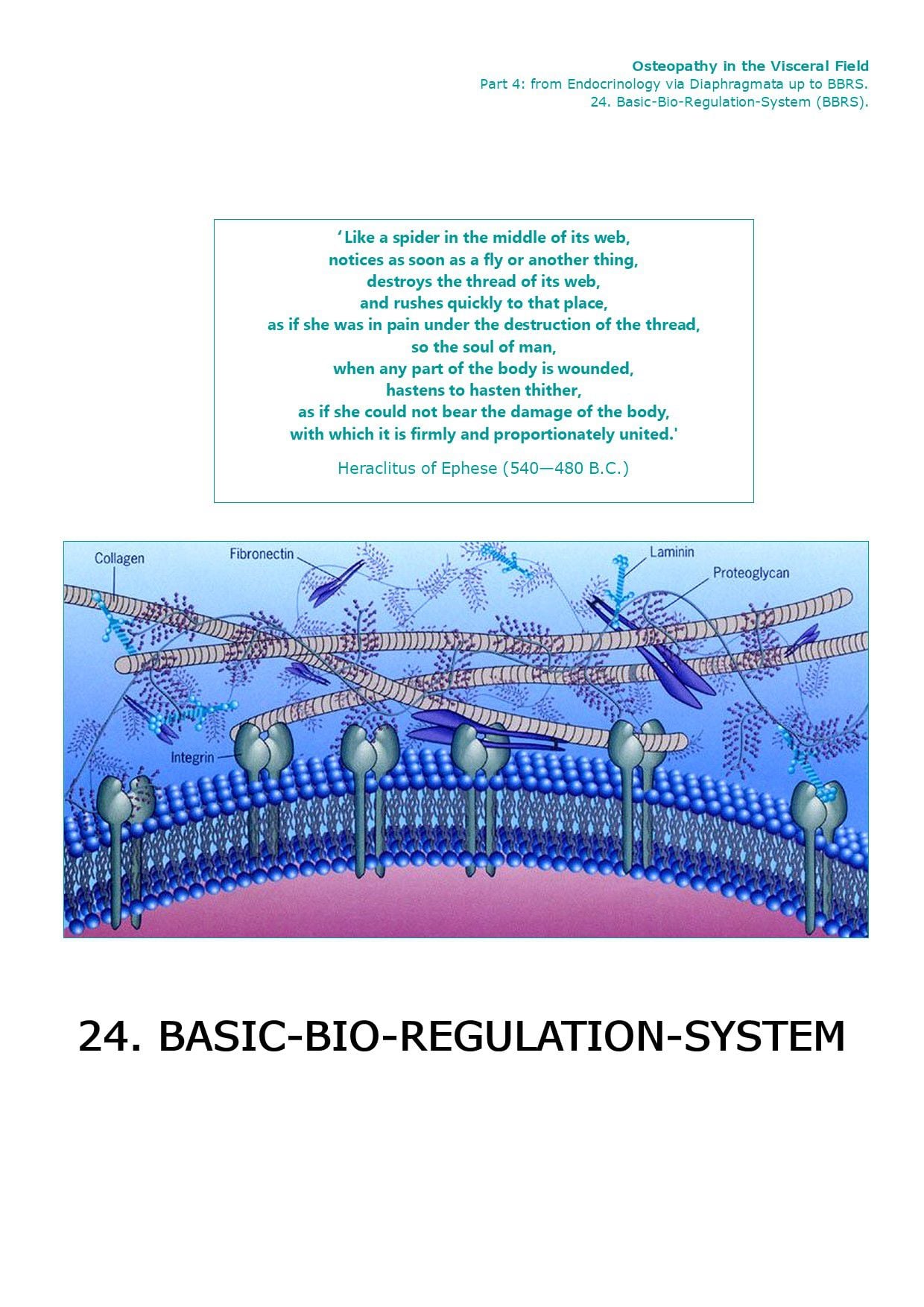 Front page Part IV · 24.5 — Components Basic-Bio-Regulation-System