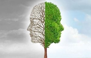 wat is psychotherapie in het profiel van het IMC