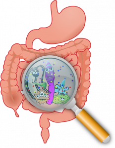 Probiotica, prebiotica, micro-organismen