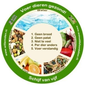 wat je niet moet eten bij overgewicht