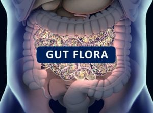 darmflora en microbioom vormen zich met wat je eet. 