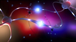 Zenuwoverdracht en epilepsie