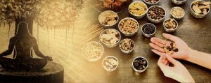 Ayurveda: een lang, gelukkig en gezond leven.