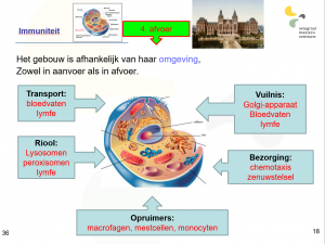 aanvoer en afvoer van de cel, de basis van immuniteit