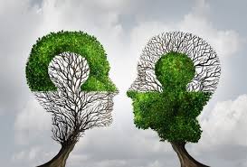 empathie: intelligentie of interessante hersenen